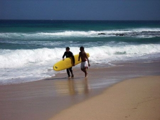Surf a todo trapo